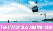 SRT - 부산시티투어(1탄) - 태종대/송도케이블카/흰여울문화마을/산만디투어/자갈치시장 여행(당일)