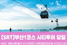 SRT - 부산시티투어(1탄) - 태종대/송도케이블카/흰여울문화마을/산만디투어/자갈치시장 여행(당일)