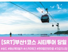 SRT - 부산시티투어(1탄) - 태종대/송도케이블카/흰여울문화마을/산만디투어/자갈치시장 여행(당일)
