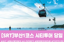 SRT - 부산시티투어(1탄) - 태종대/송도케이블카/흰여울문화마을/산만디투어/자갈치시장 여행(당일)
