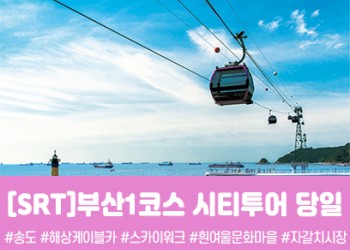 SRT - 부산시티투어(1탄) - 태종대/송도케이블카/흰여울문화마을/산만디투어/자갈치시장 여행(당일)