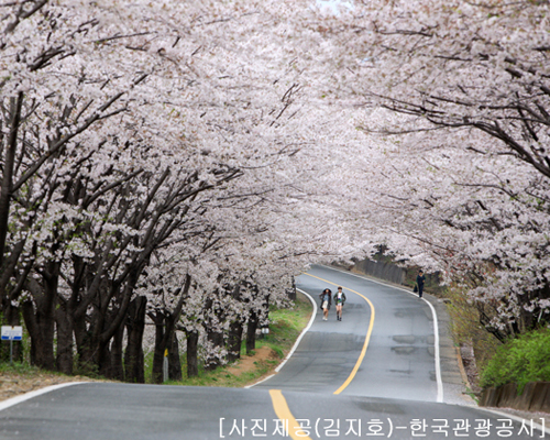 ◆지원특가◆[KTX-당일]*중식제공*월간경북-9월 영주/안동