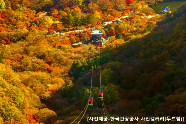 ◆가을맞이◆[수서출발-당일](1식포함)조선8경 오색단풍 내장산+익산 미륵사지
