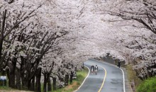 ◆지원특가◆[KTX-당일]*중식제공*월간경북-9월 영주/안동