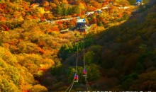 ◆가을맞이◆[수서출발-당일](1식포함)조선8경 오색단풍 내장산+익산 미륵사지