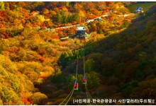 ◆가을맞이◆[수서출발-당일](1식포함)조선8경 오색단풍 내장산+익산 미륵사지