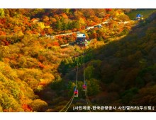 ◆가을맞이◆[수서출발-당일](1식포함)조선8경 오색단풍 내장산+익산 미륵사지