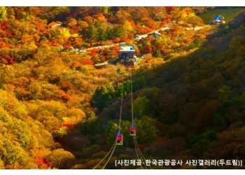 ◆가을맞이◆[수서출발-당일](1식포함)조선8경 오색단풍 내장산+익산 미륵사지