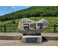 천상의화원 곰배령과 인제자작나무숲 1박2일 기차여행