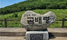 천상의화원 곰배령과 인제자작나무숲 1박2일 기차여행