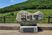 천상의화원 곰배령과 인제자작나무숲 1박2일 기차여행