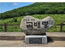 천상의화원 곰배령과 인제자작나무숲 1박2일 기차여행