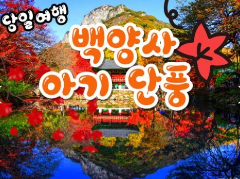 KTX - 천년 고찰!! 백양사 애기 가을단풍 여행(당일)