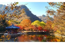 [국악와인열차] 11월 10,14,15,17일 정읍 내장산