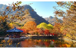 11월 10,14,15,17일 정읍 내장산