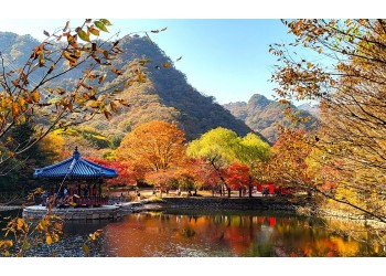 [국악와인열차] 11월 10,14,15,17일 정읍 내장산