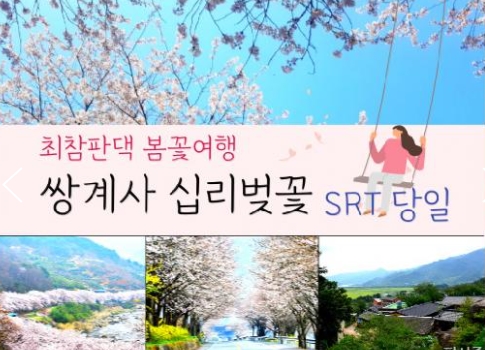 SRT - 환상의 쌍계사 십리벚꽃*화개장터 & 최참판댁 봄꽃여행(당일)