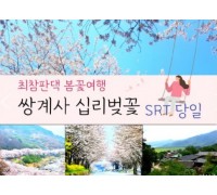 SRT - 환상의 쌍계사 십리벚꽃*화개장터 & 최참판댁 봄꽃여행(당일)