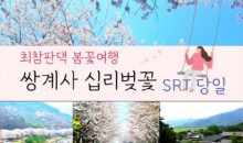 SRT - 환상의 쌍계사 십리벚꽃*화개장터 & 최참판댁 봄꽃여행(당일)