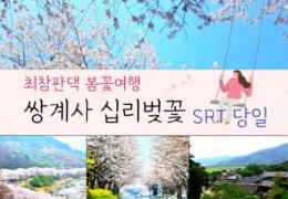 SRT - 환상의 쌍계사 십리벚꽃*화개장터 & 최참판댁 봄꽃여행(당일)