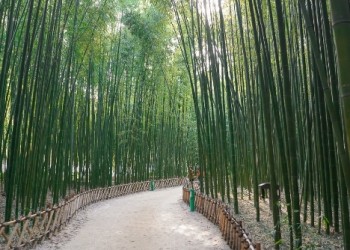 [KTX] 동해의 빛! 시간여행 경주+울산 태화강국가정원+부산 해변열차 기차여행 (1박2일)