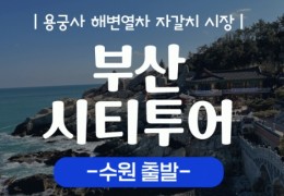 [KTX/수원출발] 부산시티투어 2탄 (용궁사&해운대 해변열차) 당일 기차여행-중식포함