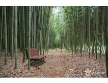 [화요특선]KTX 남도의 맛, 지리산의 쉼 2박3일 웰니스 여행(순천/하동/산청/남원/순창/구례)
