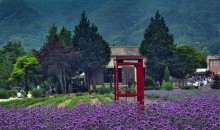 동해바다 고성 화진포&금강산 건봉사&속초 바다정원 당일