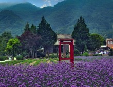 동해바다 고성 화진포&금강산 건봉사&속초 바다정원 당일