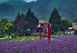 동해바다 고성 화진포&금강산 건봉사&속초 바다정원 당일