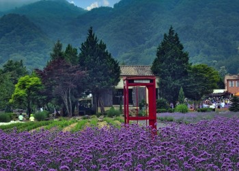 동해바다 고성 화진포&금강산 건봉사&속초 바다정원 당일