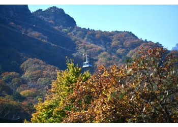외설악(토왕성폭포 전망대/비선대) 트레킹+대포항 당일