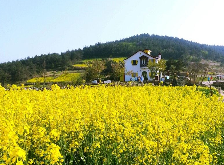[ITX-새마을]청산도*완도*해남 대흥사 1박2일 (청산도 내 숙박) 3월부터~