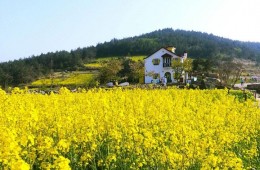 [SRT]청산도*완도*해남 대흥사 1박2일(청산도 내 숙박) 3월부터~