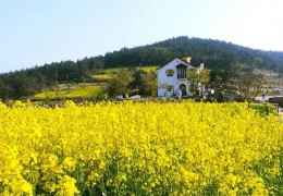 [SRT]청산도*완도*해남 대흥사 1박2일(청산도 내 숙박) 3월부터~