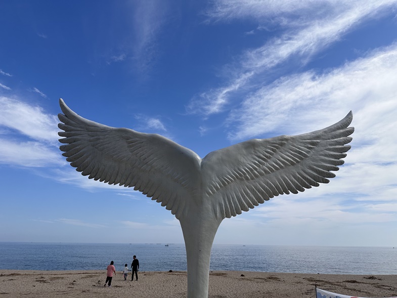 [용산역/청량리역출발] 동해바다 고성 화진포&금강산 건봉사&속초 바다정원 당일