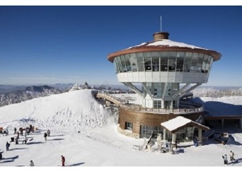 A-train/KTX- 정선하이원 곤돌라 & 동해산타열차ㆍ정동진 밤바다 기차여행(당일)