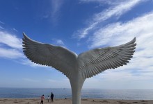[용산역/청량리역출발] 동해바다 고성 화진포&금강산 건봉사&속초 바다정원 당일