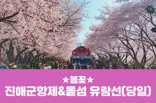 [경상권/충청권/수도권출발] 진해군항제&돝섬 유람선(당일)