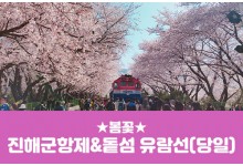 [경상권/충청권/수도권출발] 진해군항제&돝섬 유람선(당일)