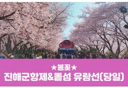 [경상권/충청권/수도권출발] 진해군항제&돝섬 유람선(당일)