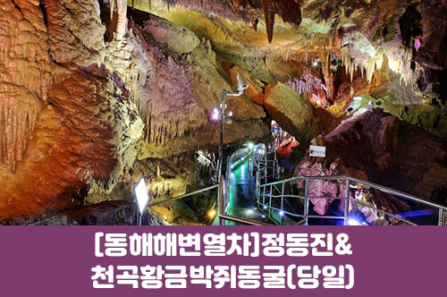 수도권/경상권출발-[동해 해변열차]정동진&천곡황금박쥐동굴(당일)