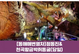 수도권/경상권출발-[동해 해변열차]정동진&천곡황금박쥐동굴(당일)
