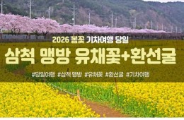 [수도권/충청권/경상권출발] [동해해변열차]삼척 맹방 유채꽃&환선굴(당일)