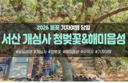 [경상권/충청권/호남권/수도권출발] 서산 개심사 청벚꽃,겹벚꽃&해미읍성(당일)