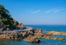 [경상권출발]강릉 안목해변&정동진 바다부채길(당일)