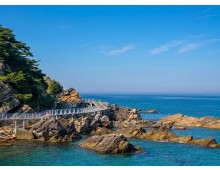 [경상권출발]강릉 안목해변&정동진 바다부채길(당일)