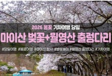 [수도권/충청권/경상권출발]★봄꽃★마이산 탑사 벚꽃&월영산 출렁다리(당일)