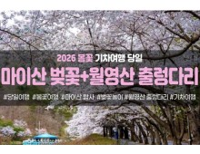 [수도권/충청권/경상권출발]★봄꽃★마이산 탑사 벚꽃&월영산 출렁다리(당일)