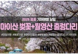 [수도권/충청권/경상권출발]★봄꽃★마이산 탑사 벚꽃&월영산 출렁다리(당일)